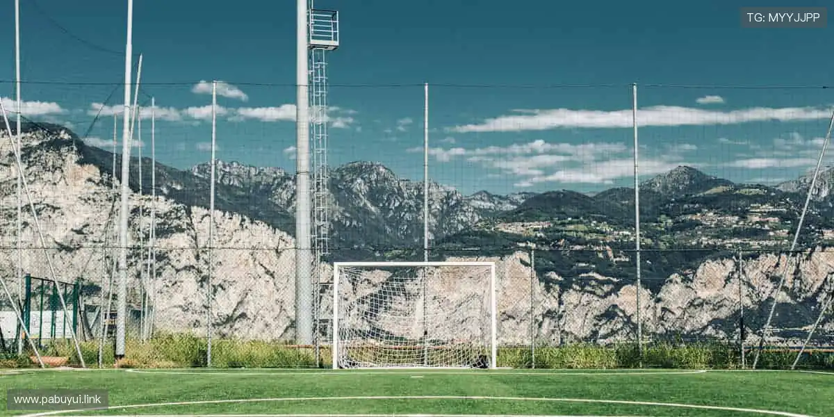 🚀一键直击，精彩永不缺席！🏉